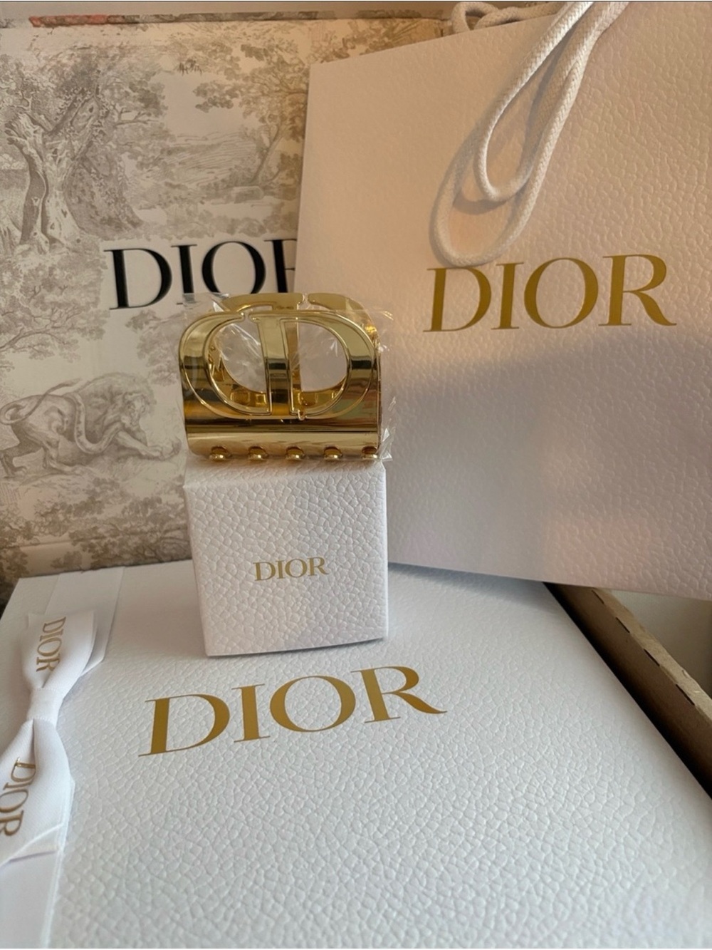 Authentic Christian Dior Privé Exclusive Gold CD Hair Claw~ New in Original Box